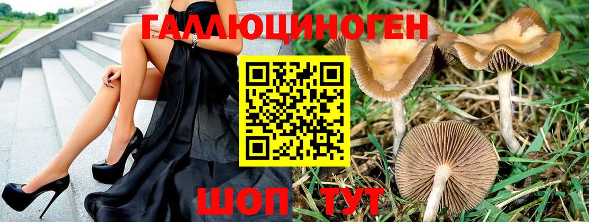 Зерноград  Галлюциногенные грибы прущие грибы  купить наркоту  Галлюциногенные грибы ЛСД  Вход с VPN 