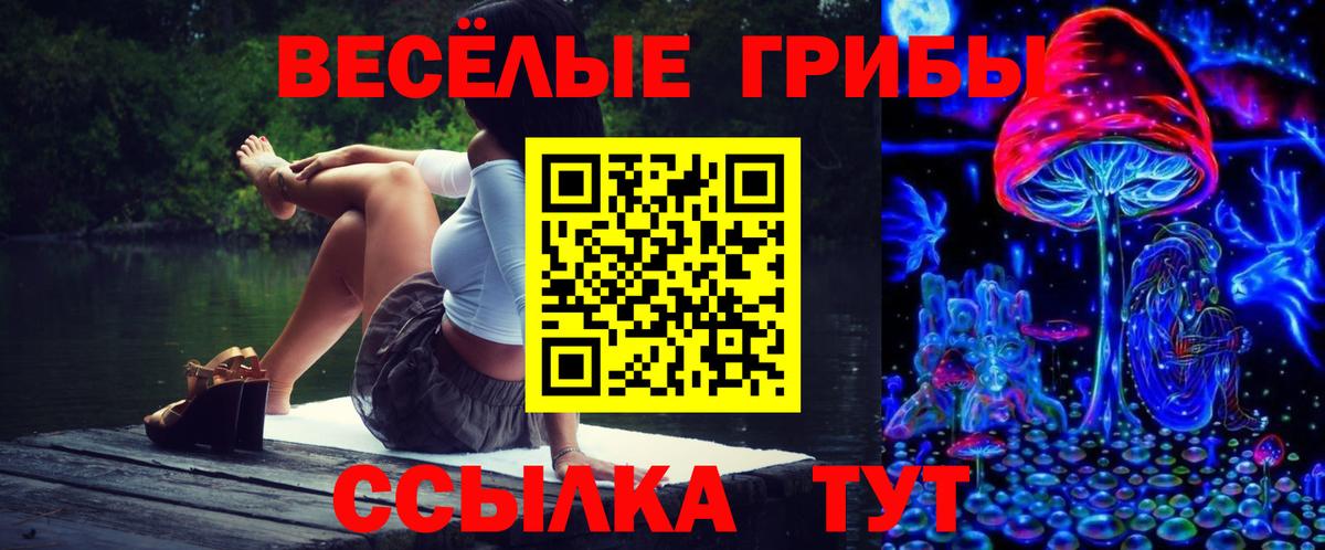 Галлюциногенные грибы MAGIC MUSHROOMS Зерноград